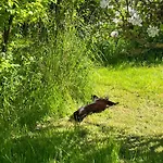 Frolundegaard Camping