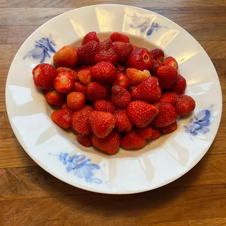 Frolundegaard * Korsør