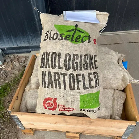 Frølundegaard * Korsør