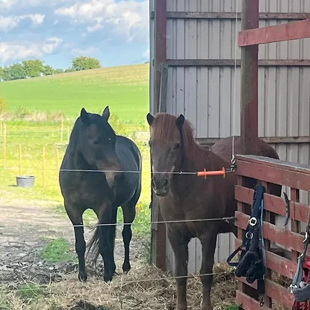 Camping Frolundegaard