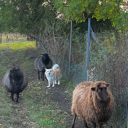 Frolundegaard * Korsør