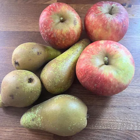 Frolundegaard Camping