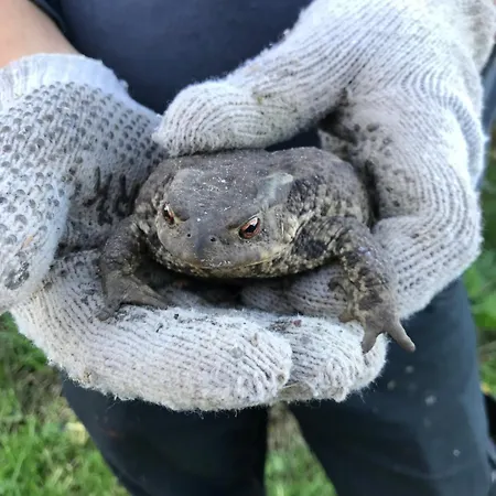 Camping Frolundegaard *