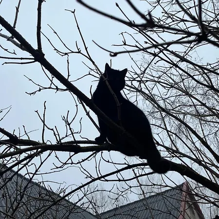 Frolundegaard Korsør