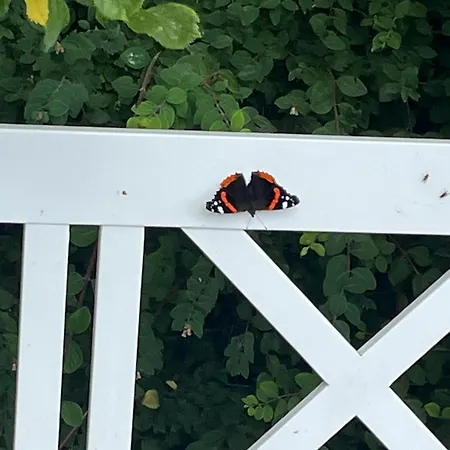 Frolundegaard * Korsør