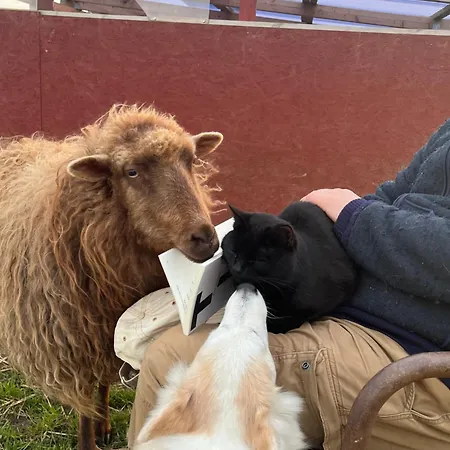 Camping Frolundegaard *