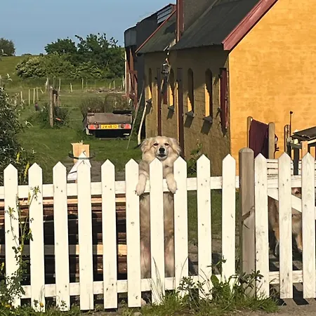 Kemp Frolundegaard Korsør