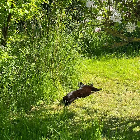 Frolundegaard Camping