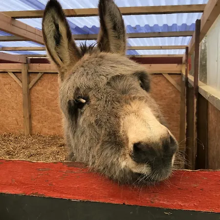 Camping Frolundegaard Korsør