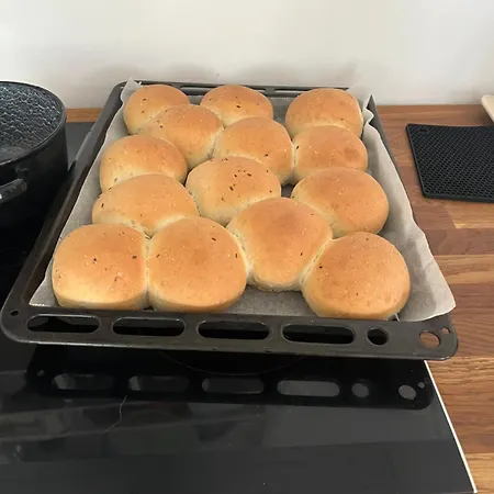 Camping Frolundegaard *