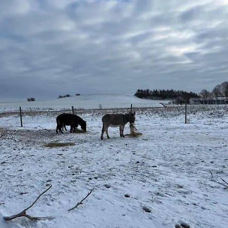 Frolundegaard Camping *