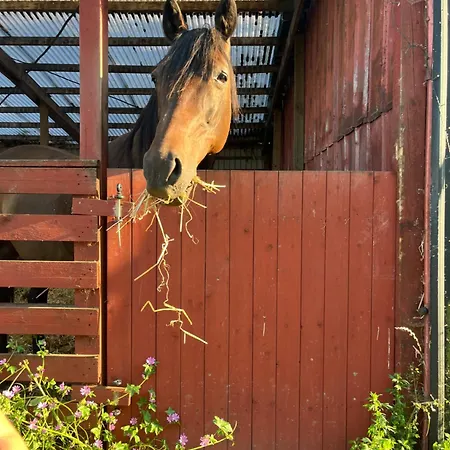 Frolundegaard * Korsør