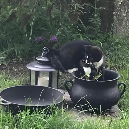 Frolundegaard Camping