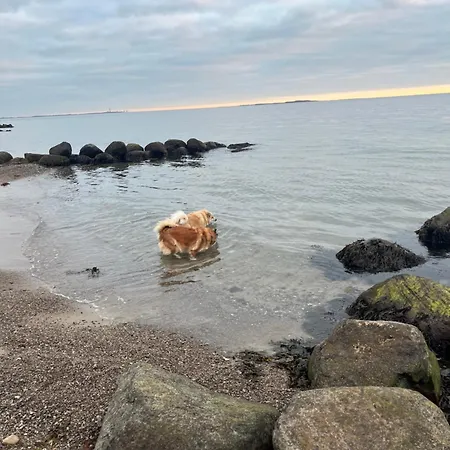 Frolundegaard Korsør