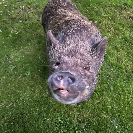 Frolundegaard Camping Korsør