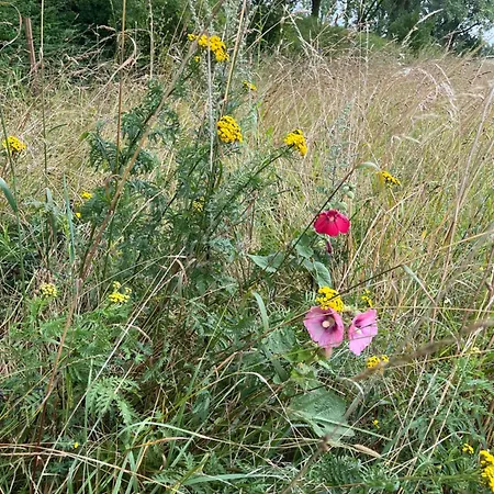 Frolundegaard Camping