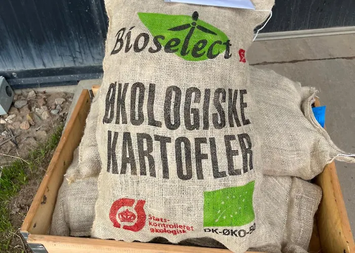 Frolundegaard * Korsør