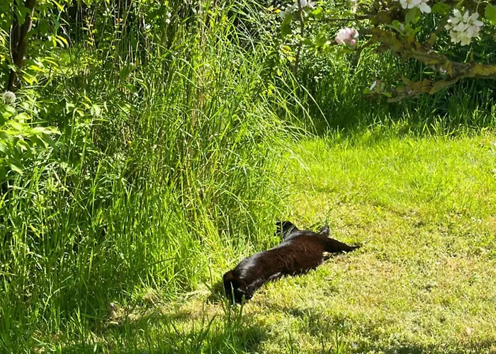 Frolundegaard Camping